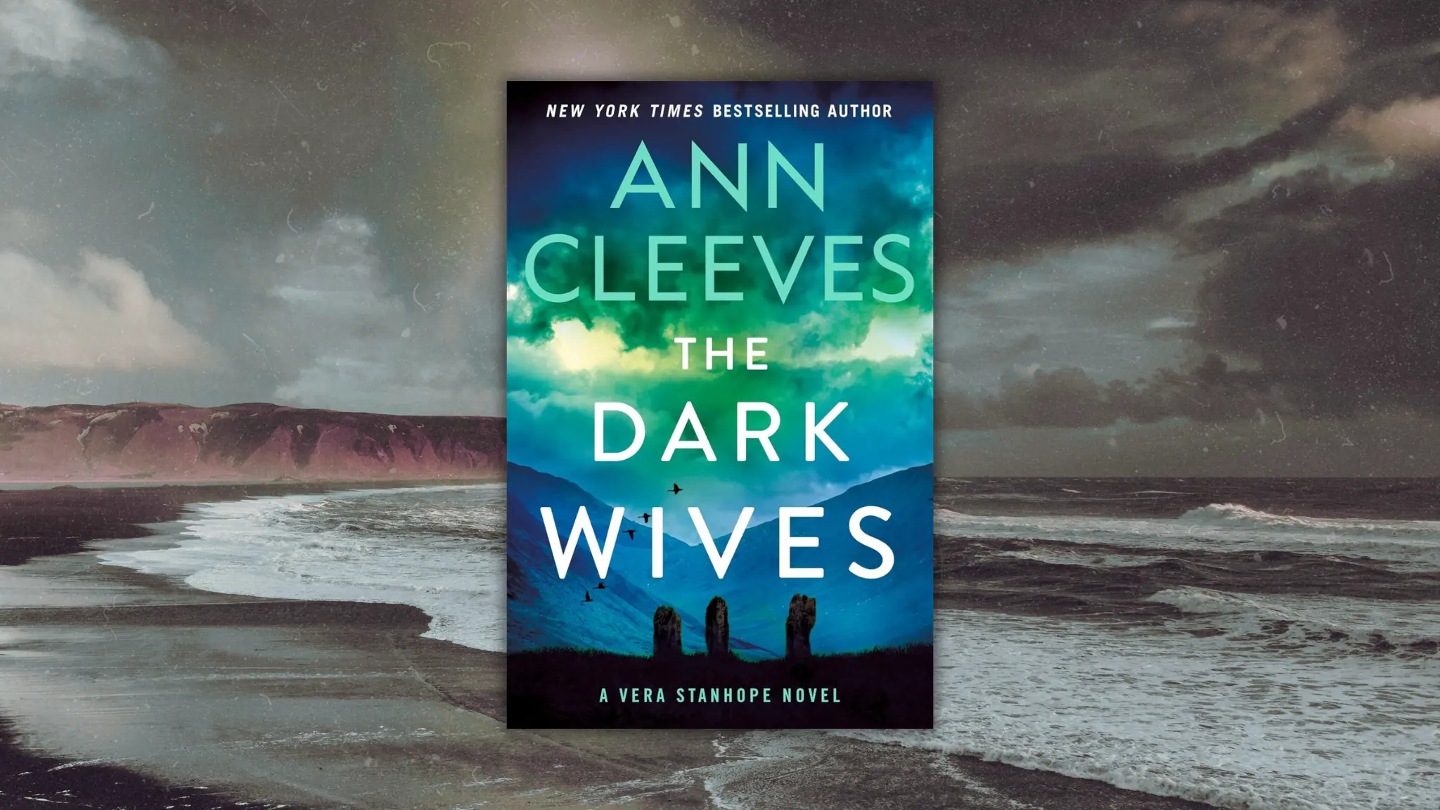 The Dark Wives by Ann Cleeves