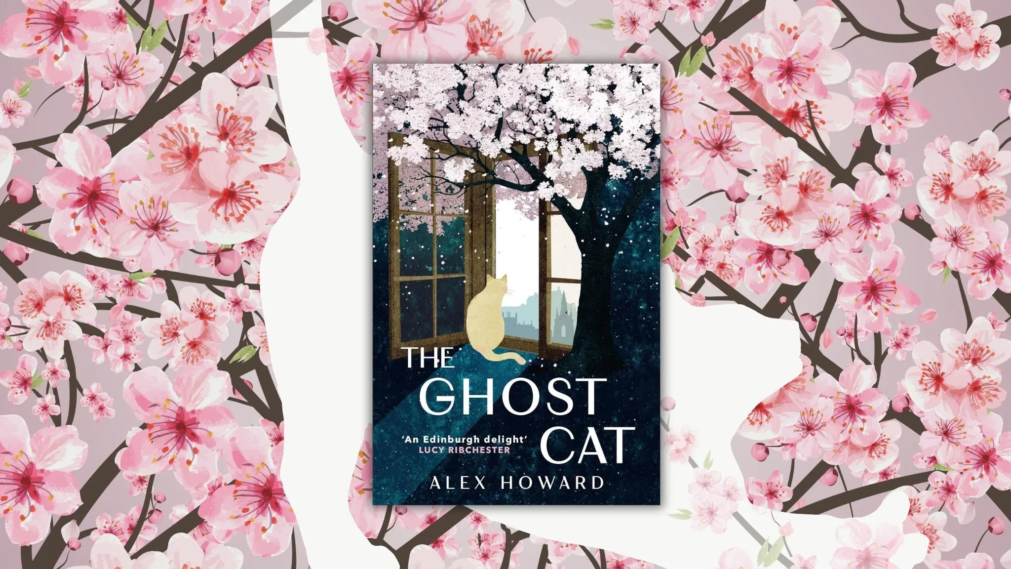 Historic Edinburgh Gets a Touch of Magic in Popular TikToker’s “The Ghost Cat”