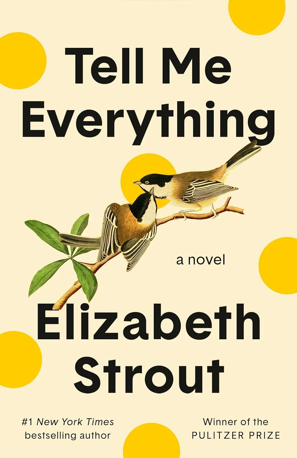 Tell Me Everything by Elizabeth Strout