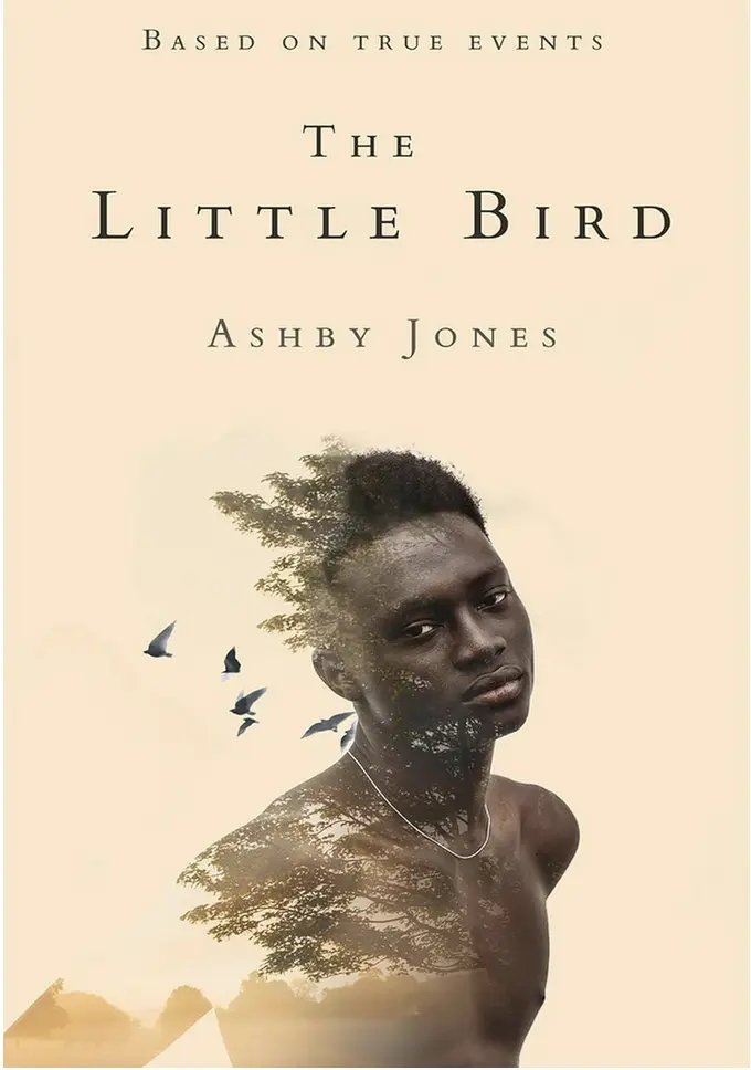 The Little Bird by Ashby Jones