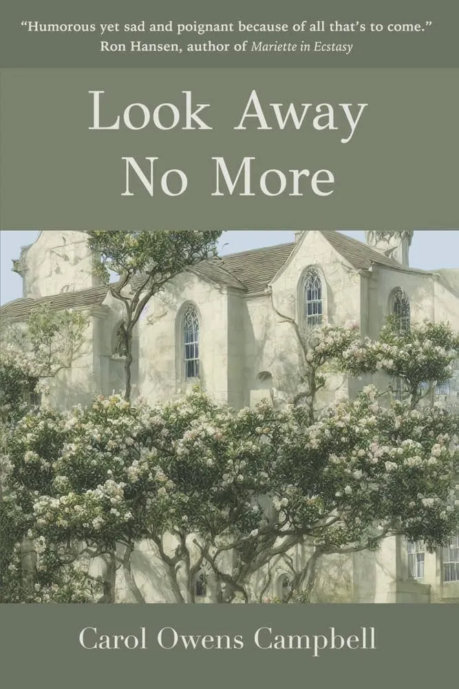 Look Away No More by Carol Owens Campbell