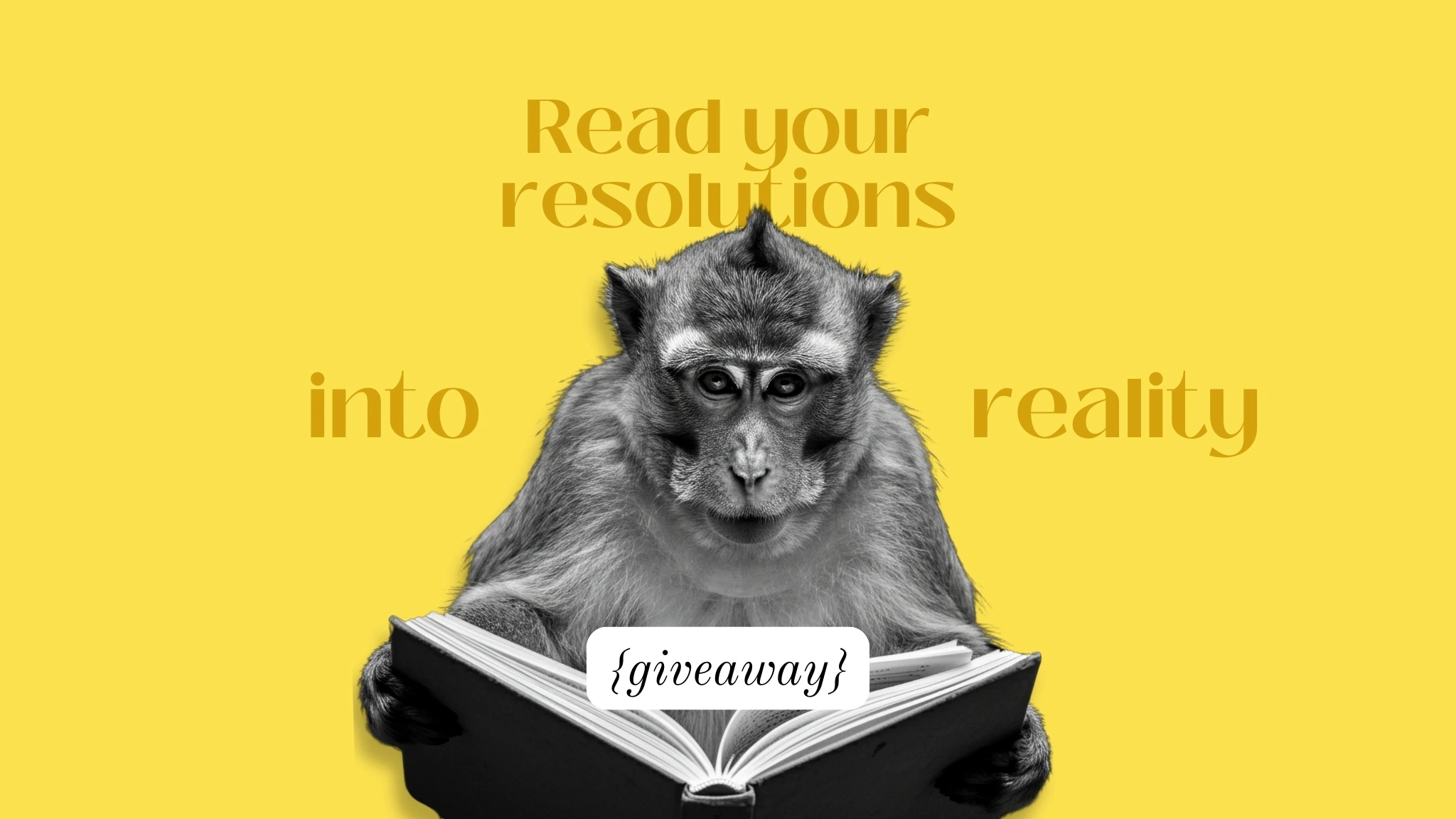 read your resolutions into reality giveaway