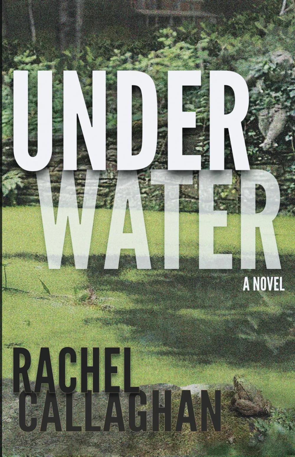 Under Water by Rachel Callaghan