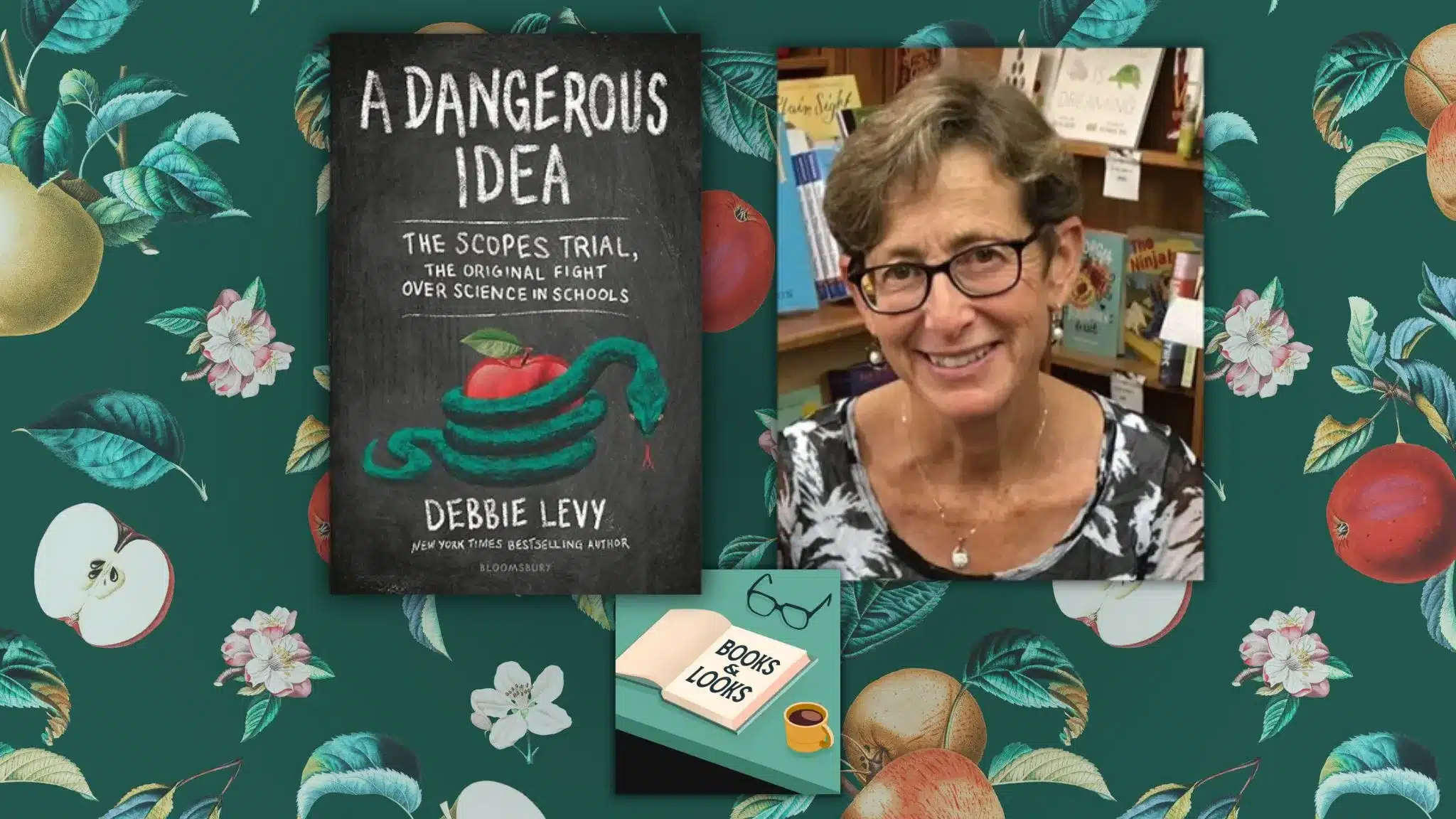 Books-and-Looks-Debbie-Levy