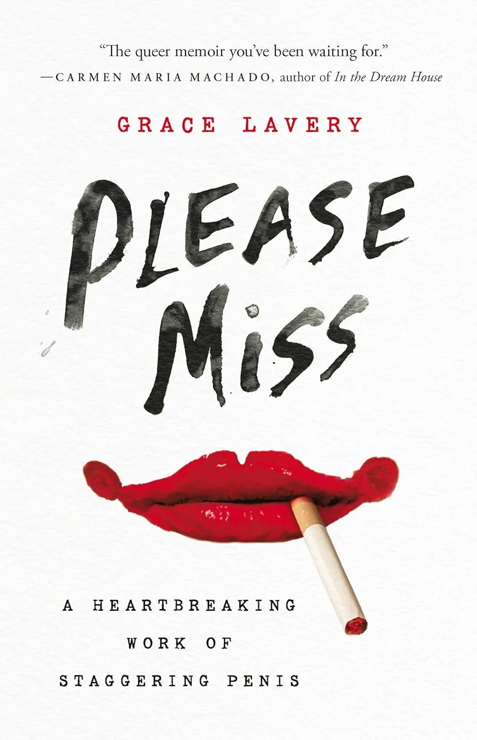 Please Miss: A Heartbreaking Work of Staggering Penis by Grace Lavery