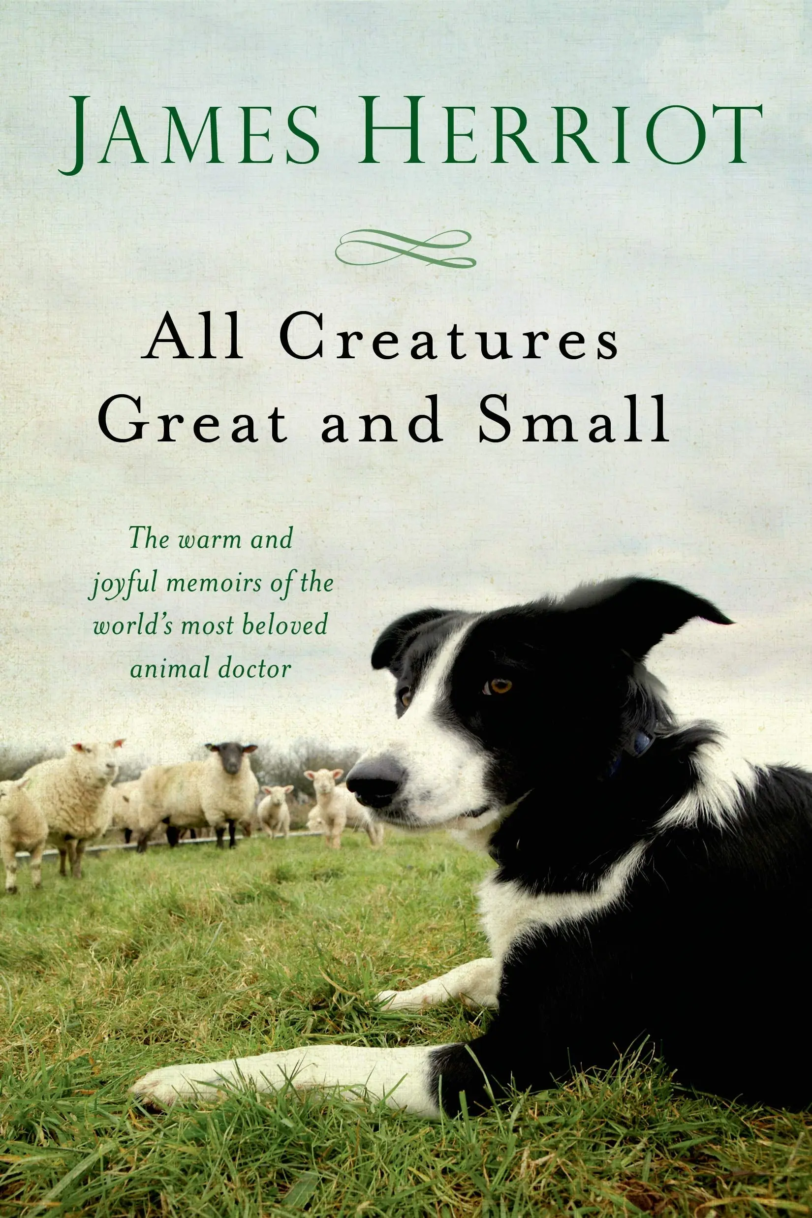 All Creatures Great and Small series by James Herriot All Creatures Great and Small series by James Herriot