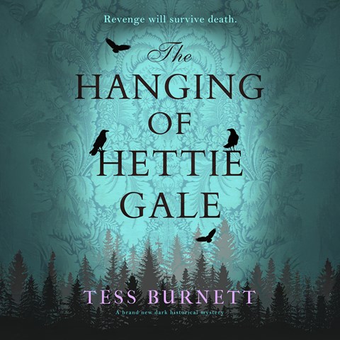 The Hanging of Hettie Gale by Tess Burnett