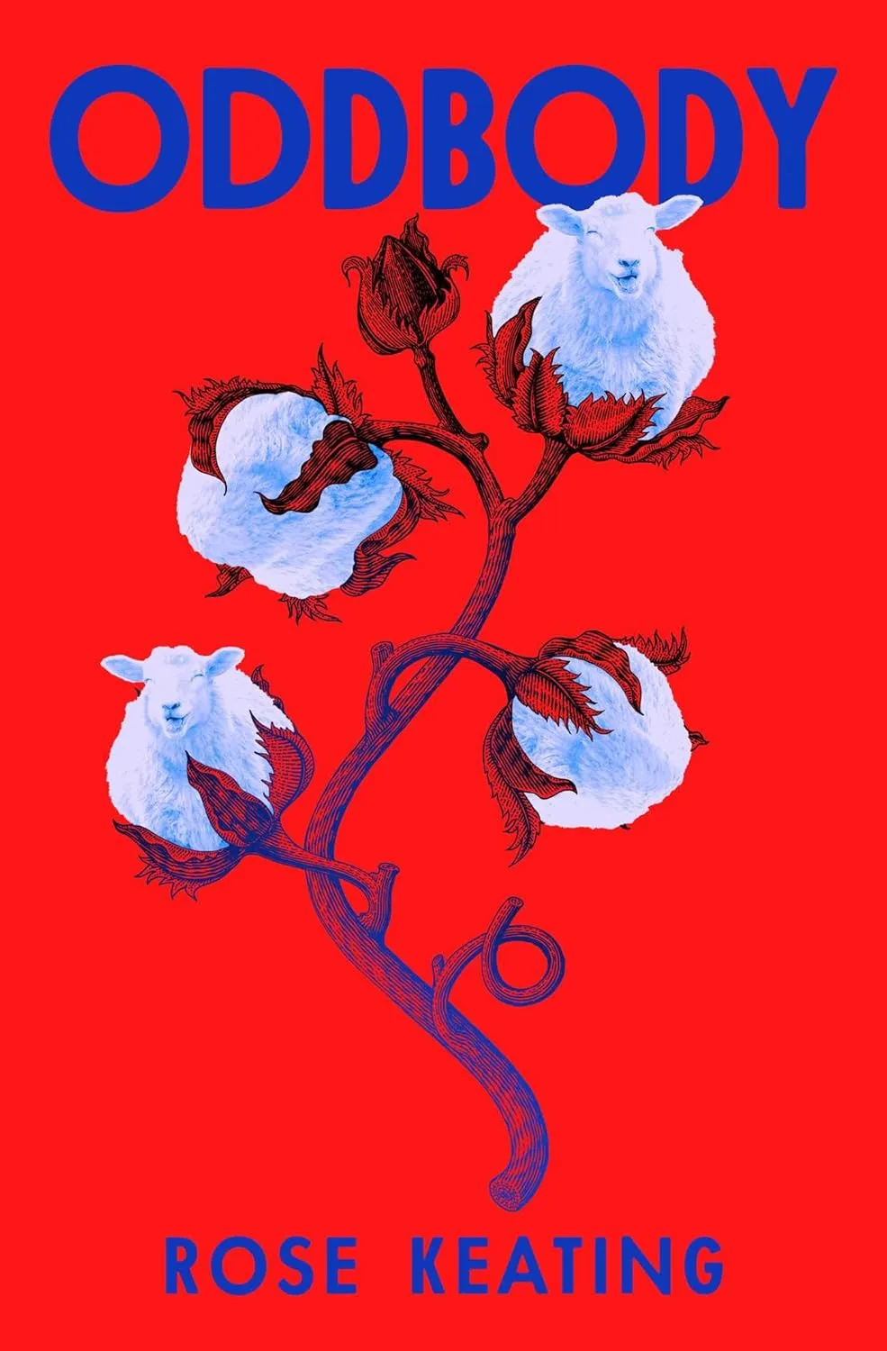 Oddbody: Stories by Rose Keating