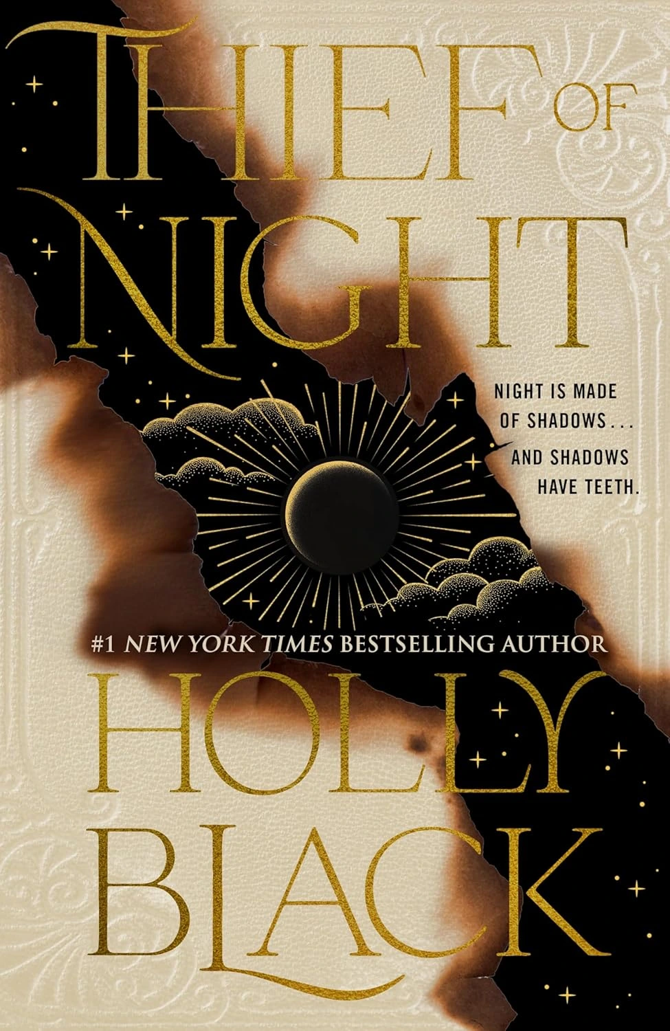 Thief of Night by Holly Black