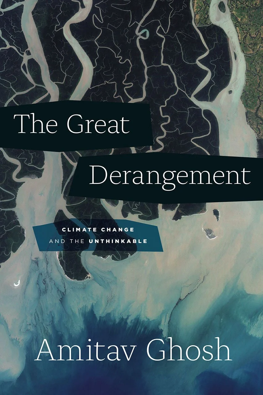 Amitav Ghosh by The Great Derangement: Climate Change and the Unthinkable