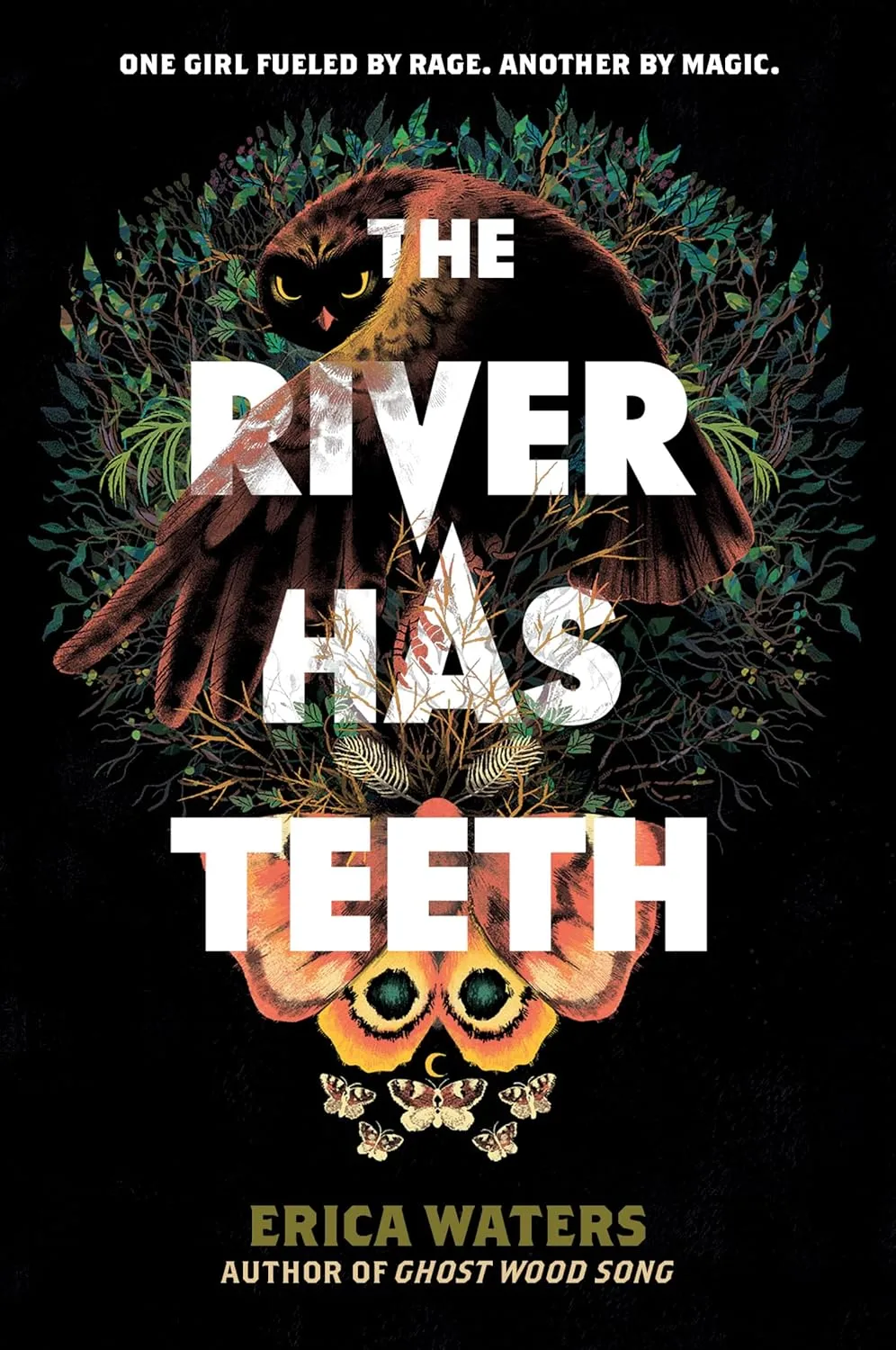 The River Has Teeth by Erica Waters The River Has Teeth by Erica Waters