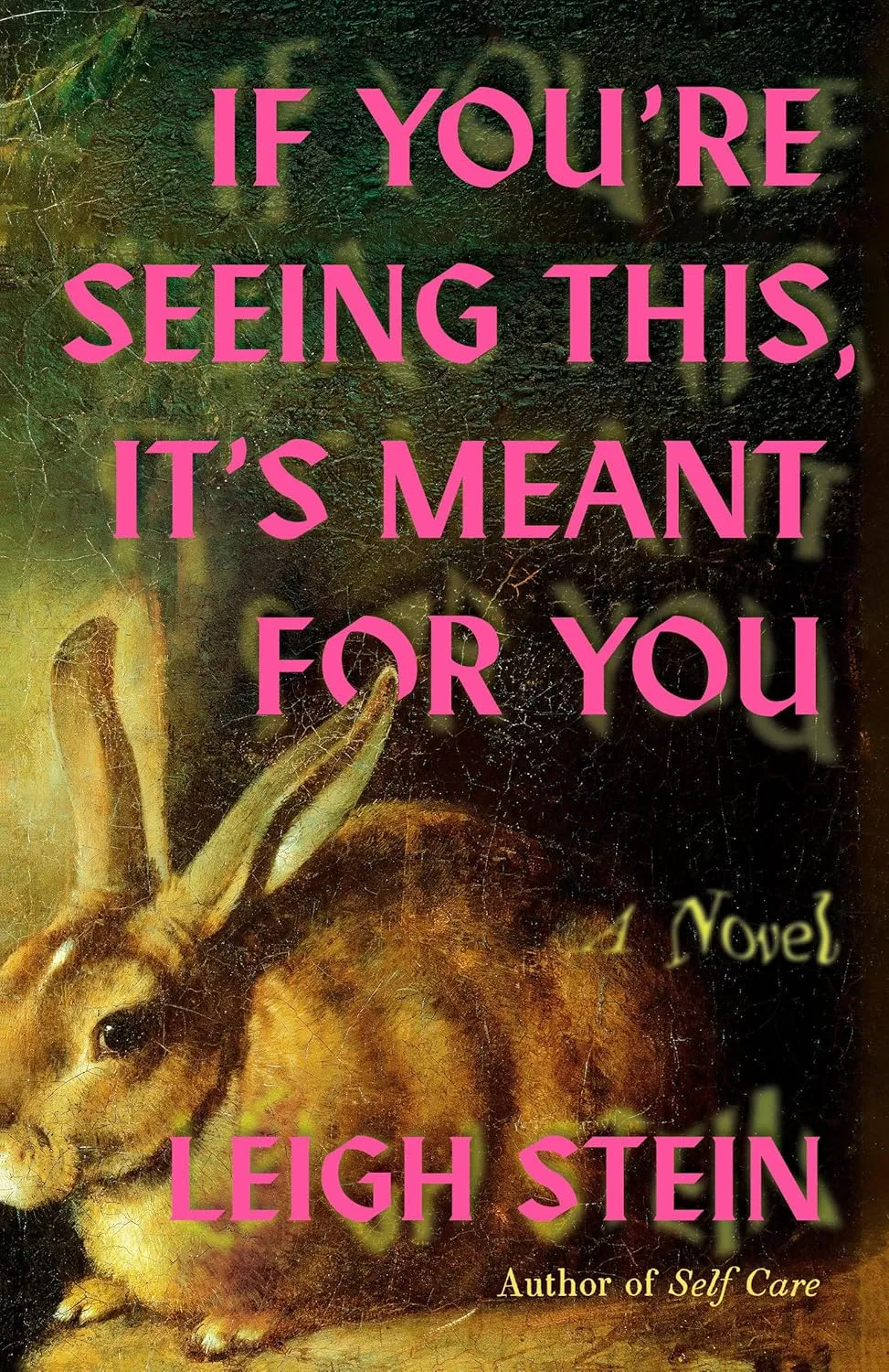 If You’re Seeing This It’s Meant For You by Leigh Stein