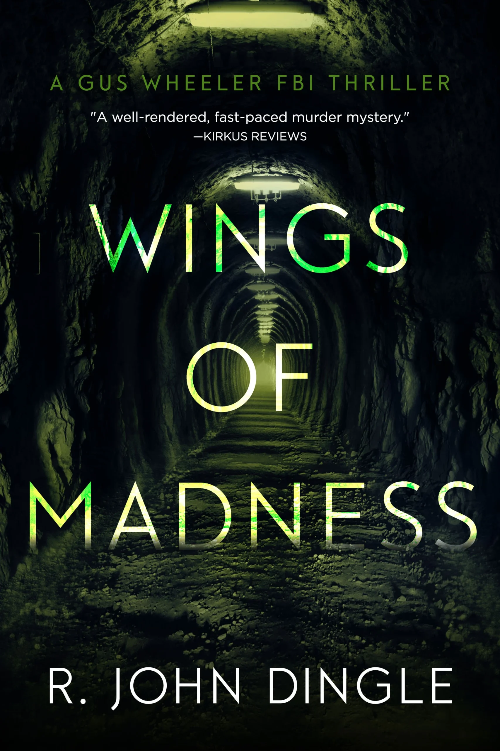 Wings of Madness by R. John Dingle Wings of Madness by R. John Dingle