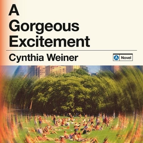 A Gorgeous Excitement by Cynthia Weiner A Gorgeous Excitement by Cynthia Weiner