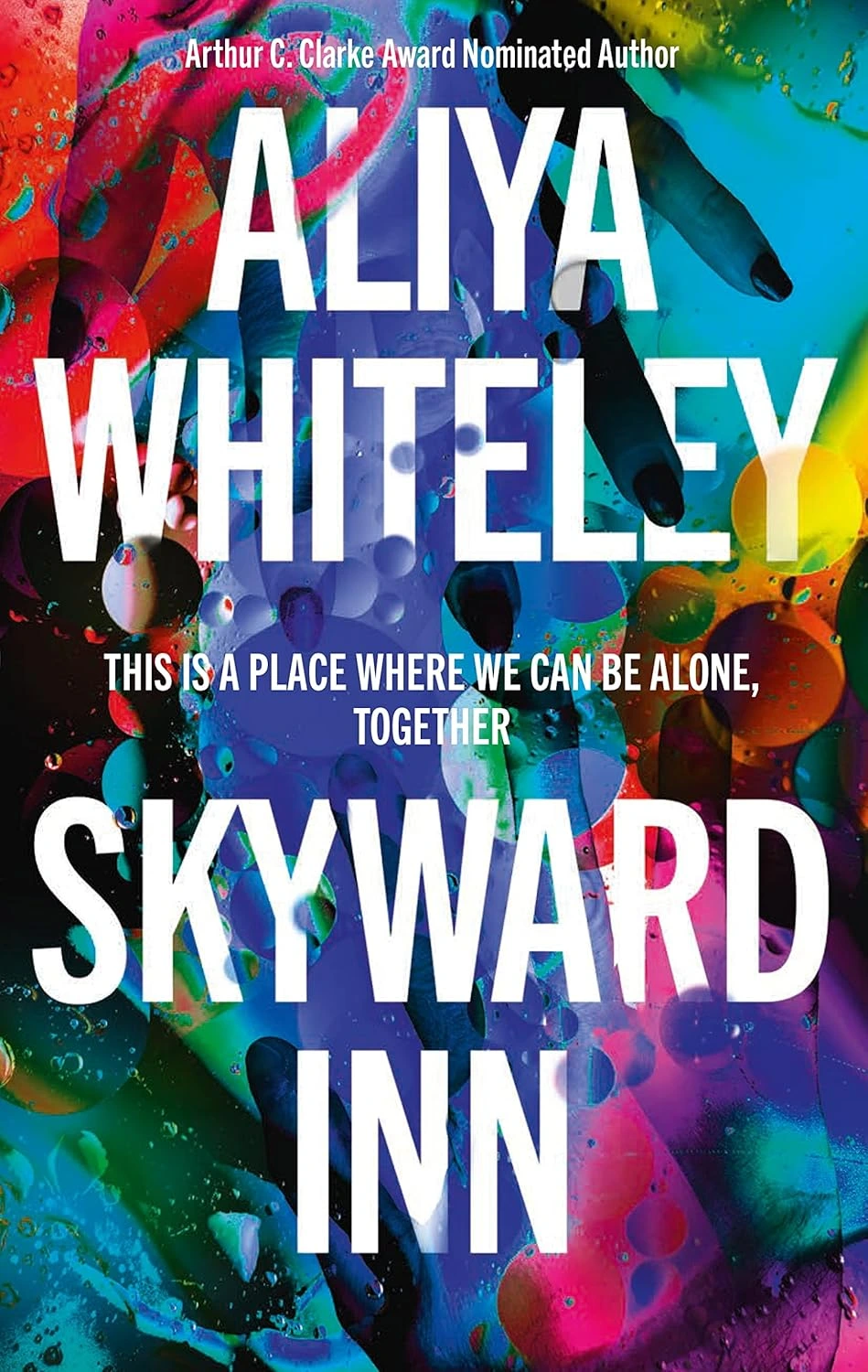 Skyward Inn by Aliya Whiteley