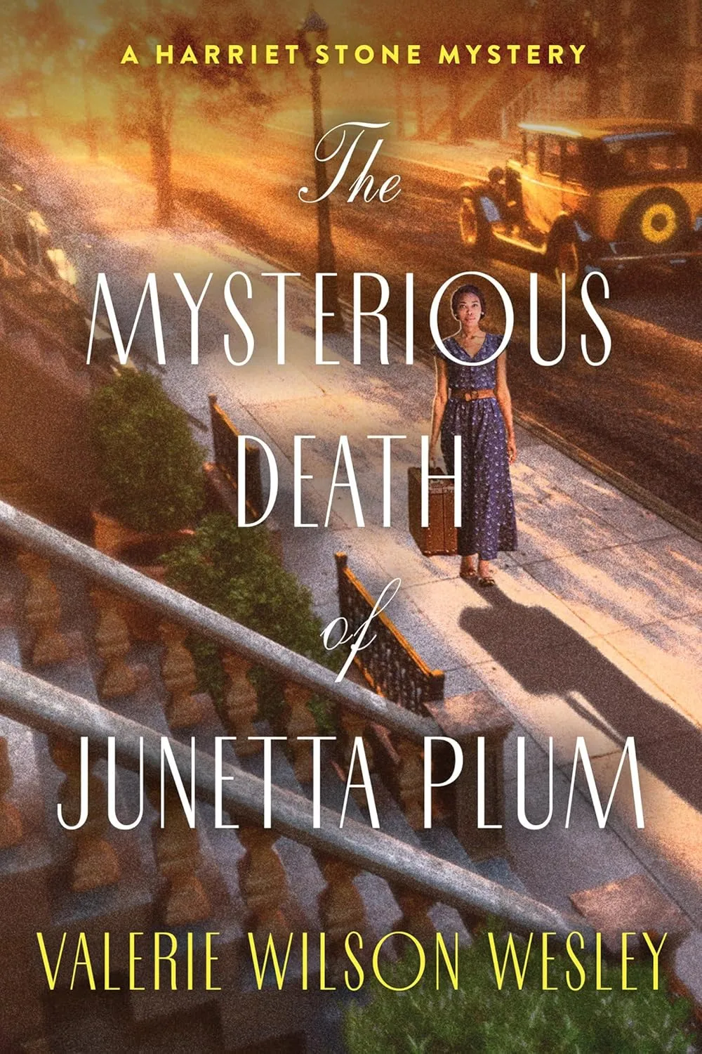 The Mysterious Death of Junetta Plum by Valerie Wilson Wesley The Mysterious Death of Junetta Plum by Valerie Wilson Wesley
