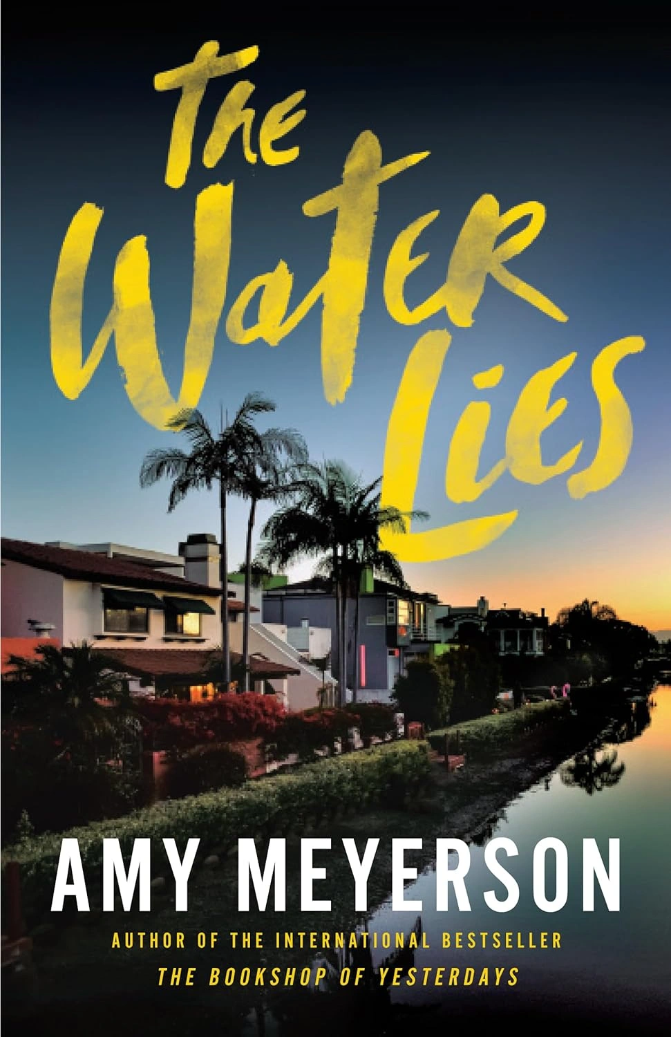 The Water Lies by Amy Meyerson