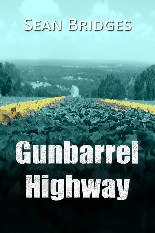 Gunbarrel Highway by Sean Bridges