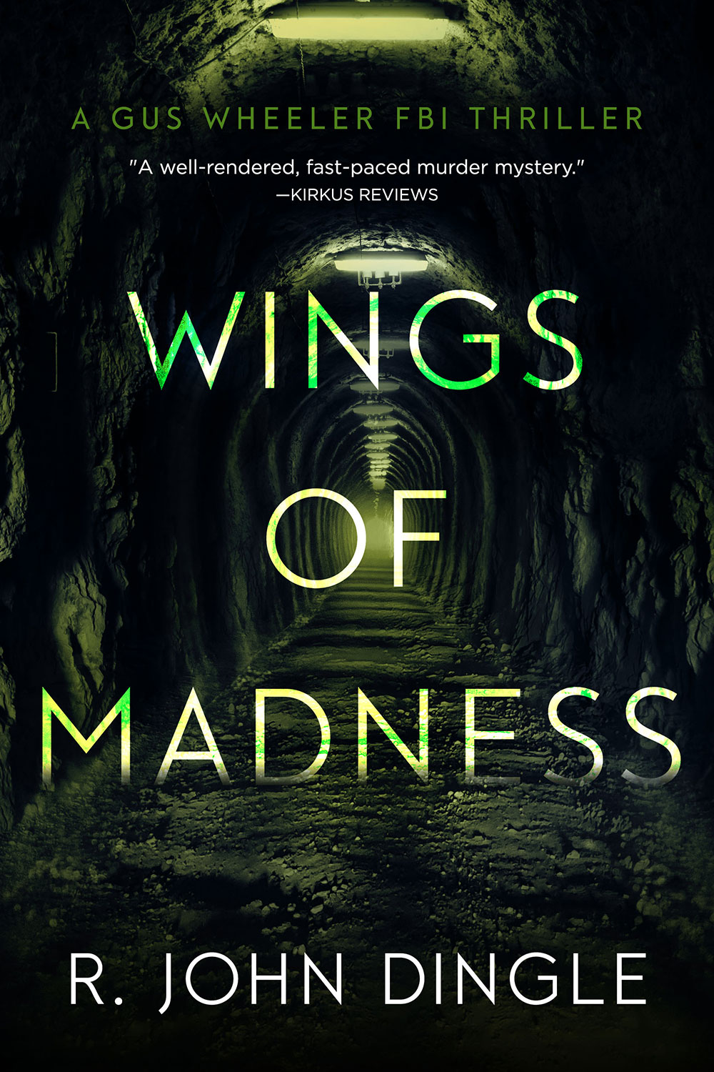 Wings of Madness by R. John Dingle Wings of Madness by R. John Dingle