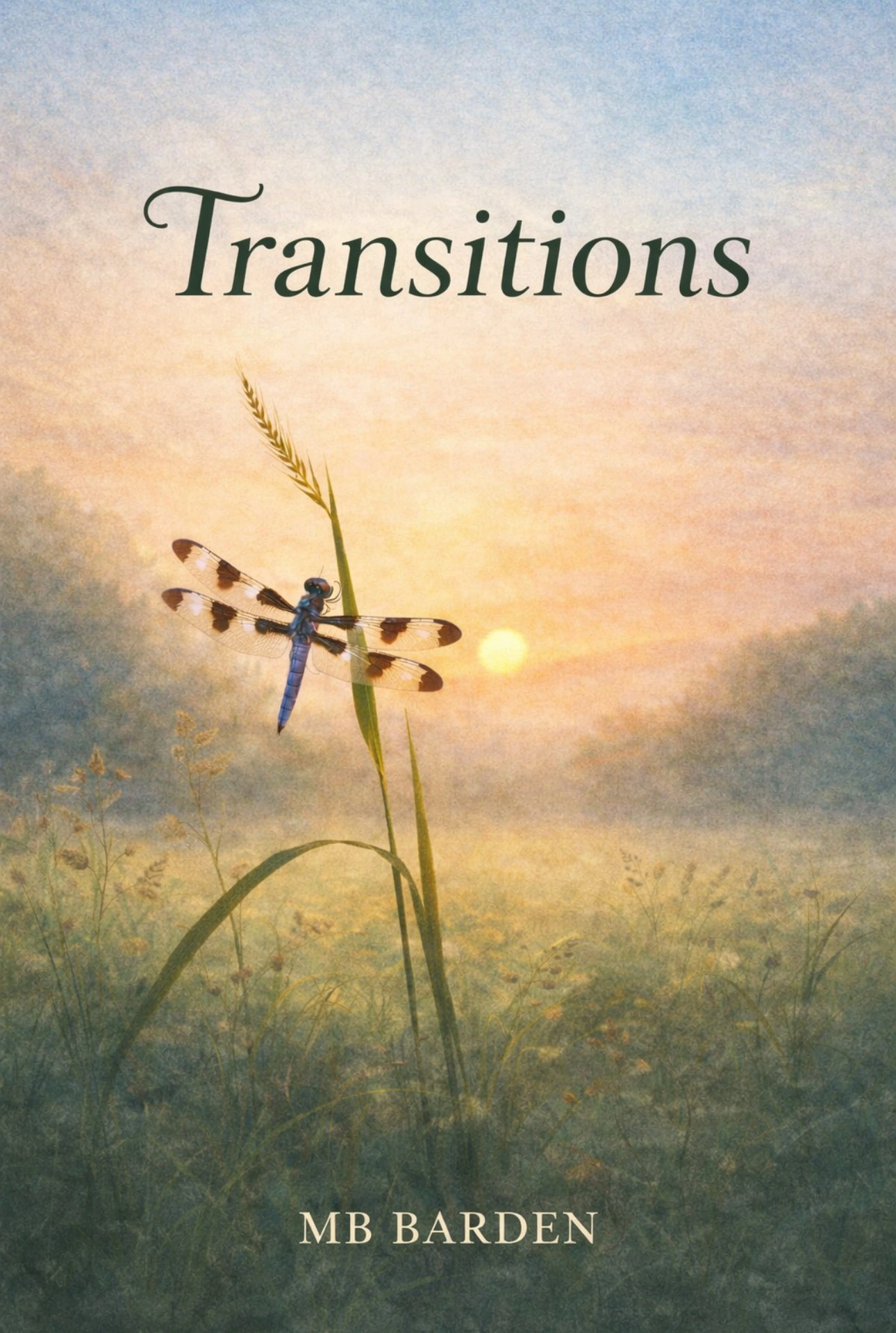 Transitions by MB Barden Transitions by MB Barden