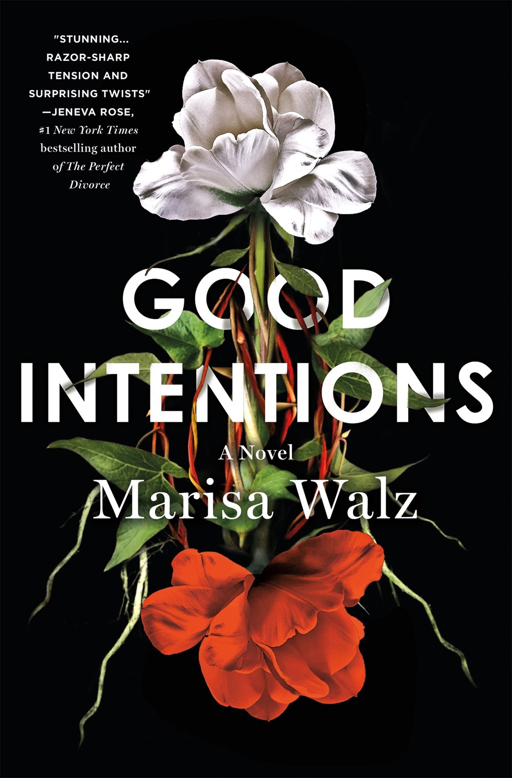 Good Intentions by Marisa Walz