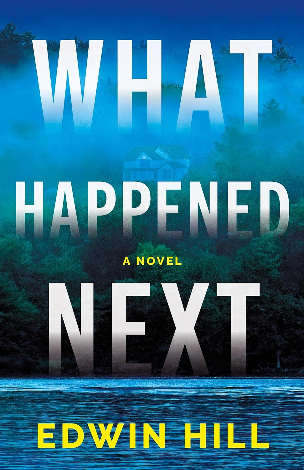 What Happened Next by Edwin Hill