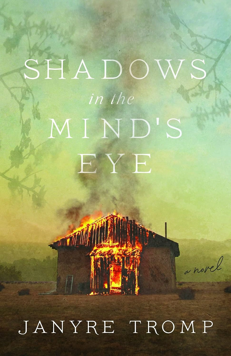 Shadows in the Mind’s Eye by Janyre Tromp