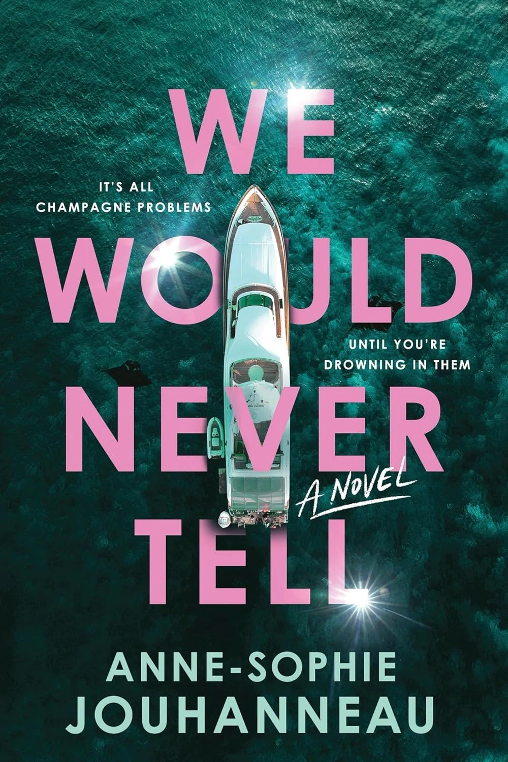 We Would Never Tell by Anne-Sophie Jouhanneau