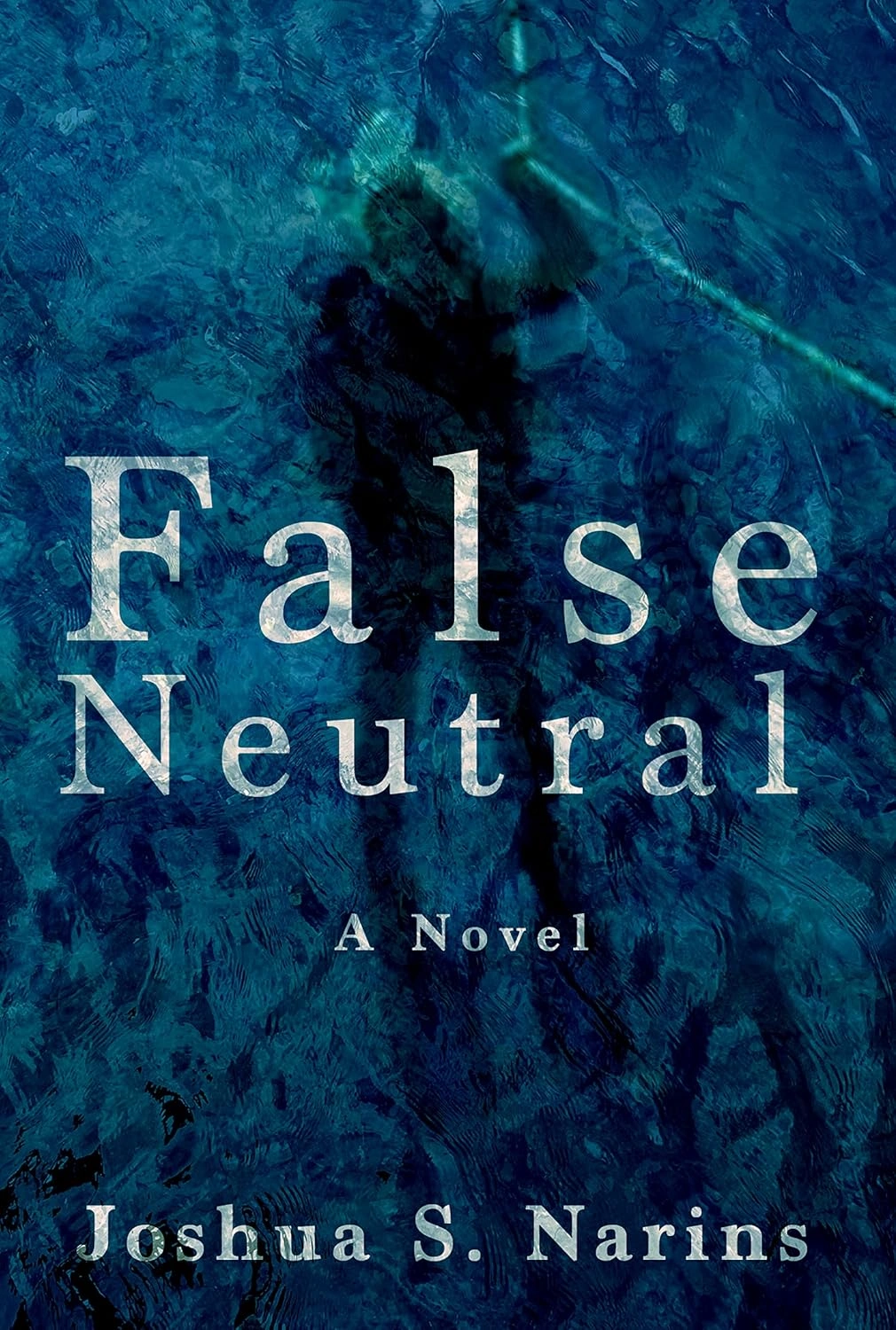 False Neutral by Joshua S. Narins