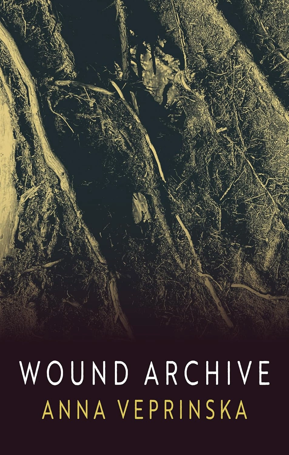 Wound Archive by Anna Veprinska