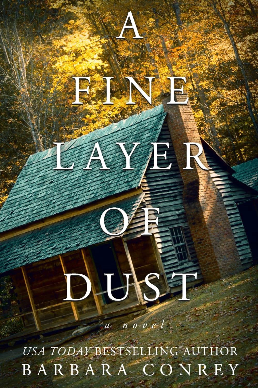 A Fine Layer of Dust by Barbara Conrey