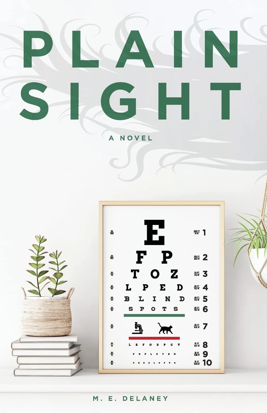 Plain Sight by M. E. Delaney