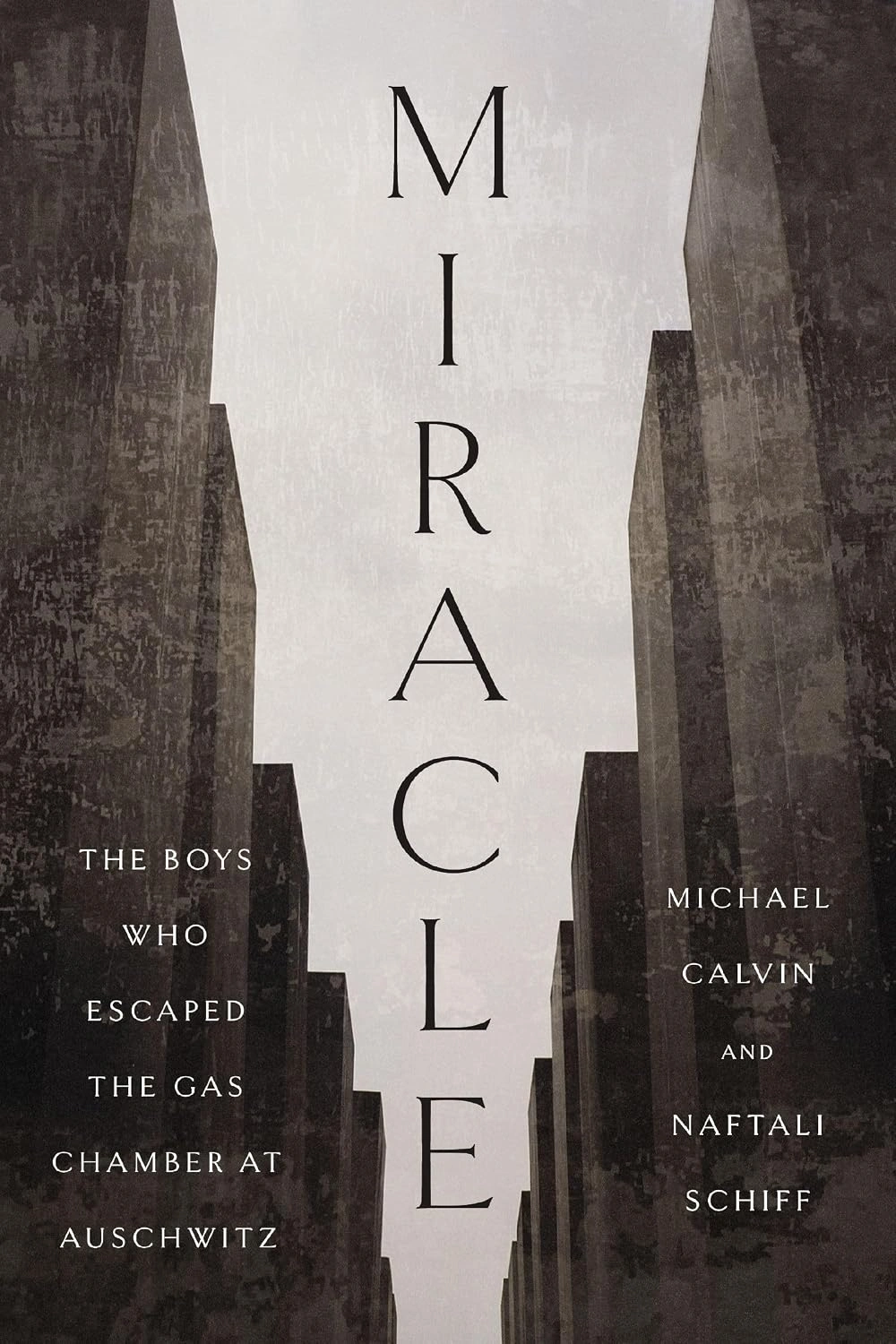 Miracle: The Boys Who Escaped the Gas Chamber at Auschwitz by Michael Calvin and Naftali Schiff