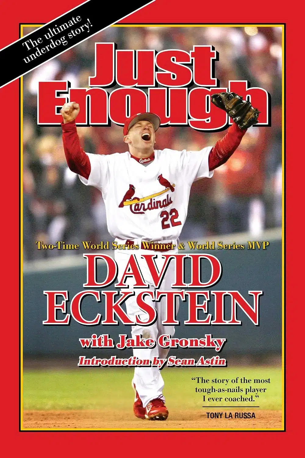Just Enough by David Eckstein