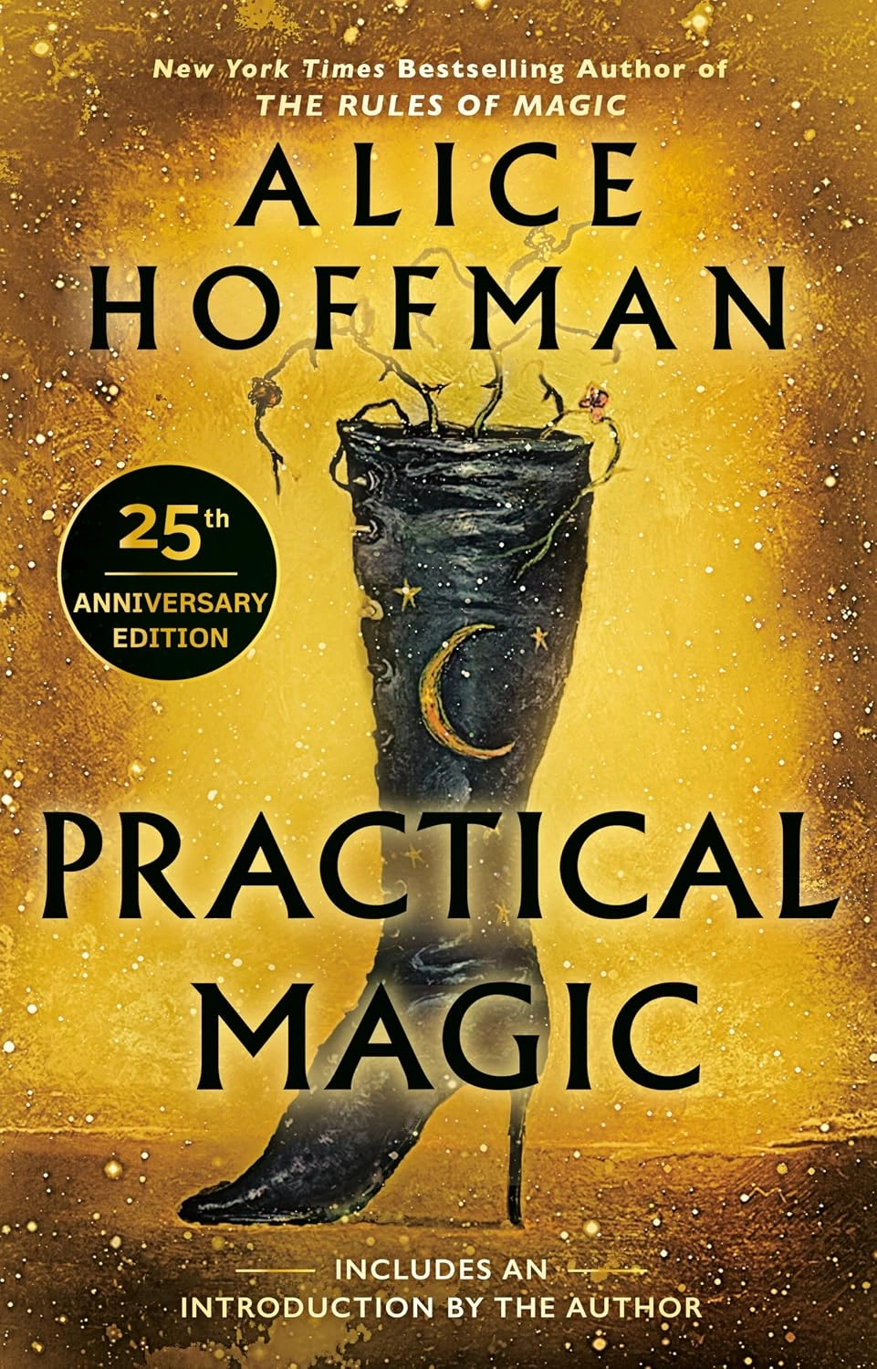 Practical Magic by Alice Hoffman 