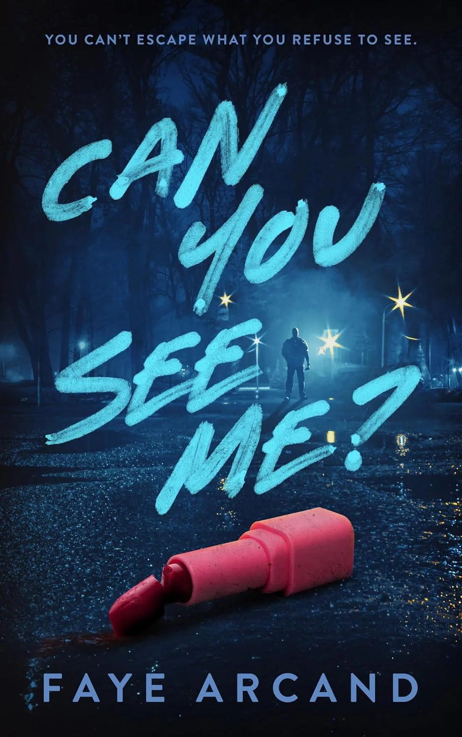 Can You See Me? by Faye Arcand